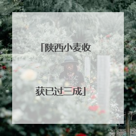 陕西小麦收获已过三成
